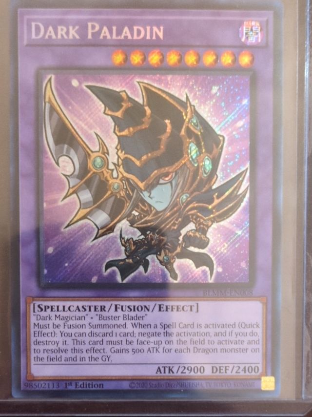 Dark Paladin — Battles of Legend: Monster Mayhem